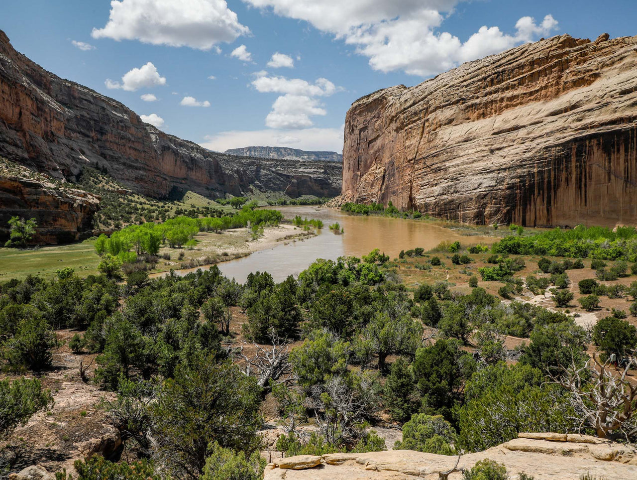 Friends of the Yampa Q+A