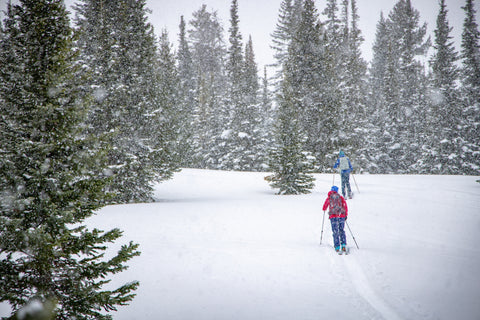 2025 Holiday Gift Guide