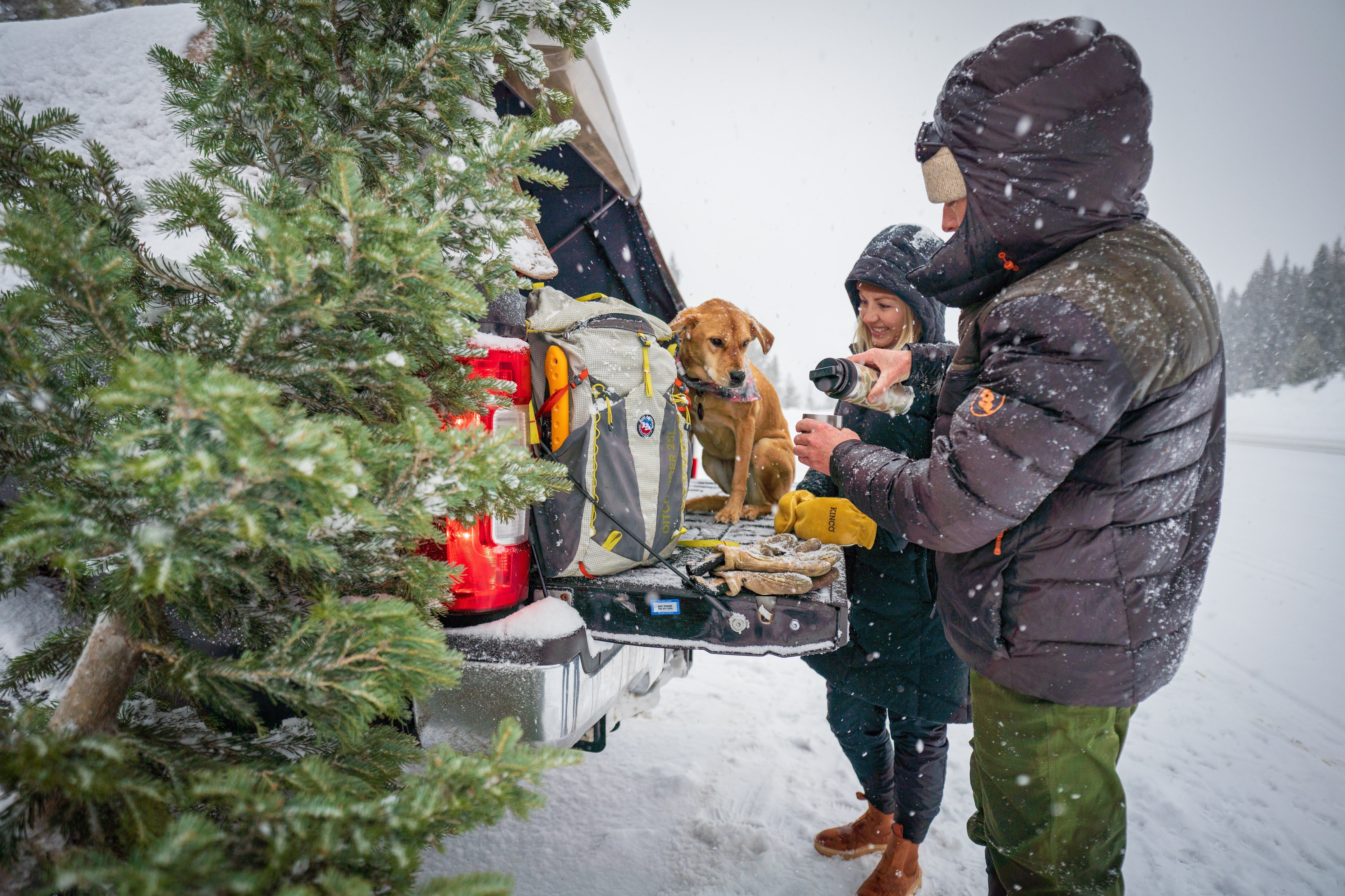 Loading Up The Christmas Tree