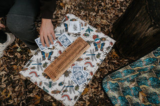 Backgammon at camp