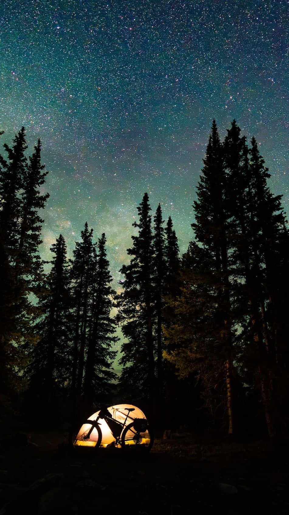 A glowing tent and a bicycle sit beneath tall pine trees, with a clear, star-filled night sky above, creating a peaceful camping scene in the forest.