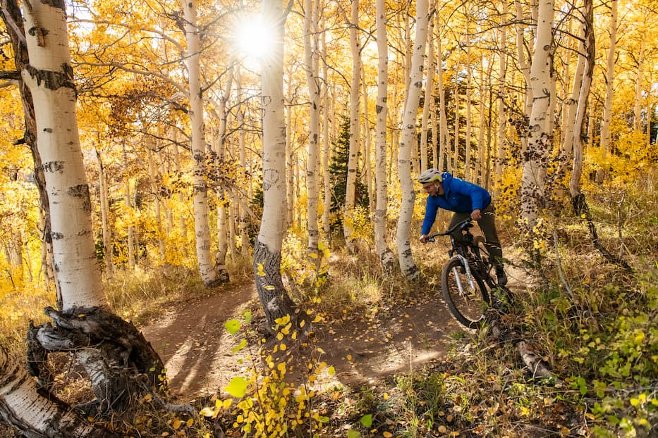 A person rides a mountain bike through a forest of tall, golden-leaved aspen trees, with sunlight streaming through the branches and fallen leaves covering the ground.