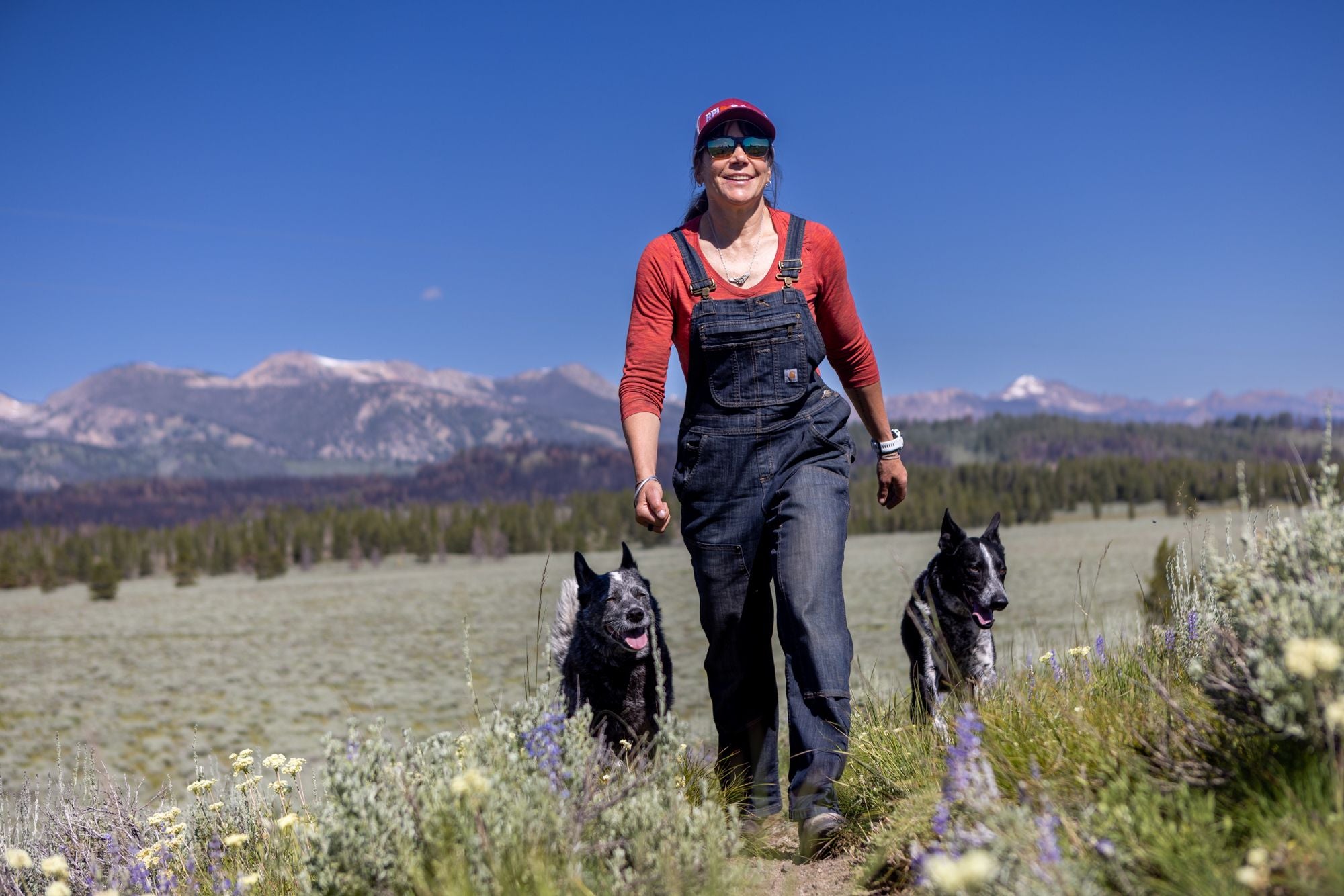 A person wearing overalls, a red shirt, and a red cap walks on a trail with two black dogs in a grassy field with wildflowers. Snow-capped mountains and a clear blue sky are in the background.