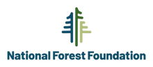Logo Nff fullcolor vert
